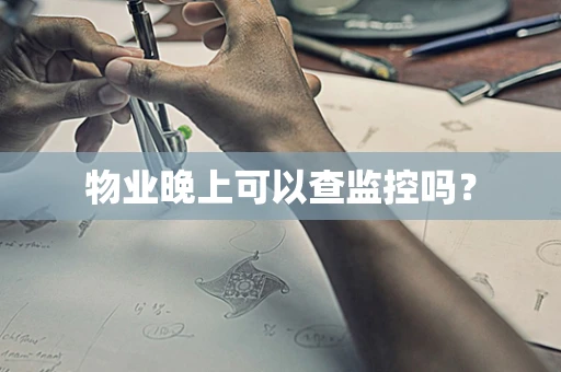 物业晚上可以查监控吗？