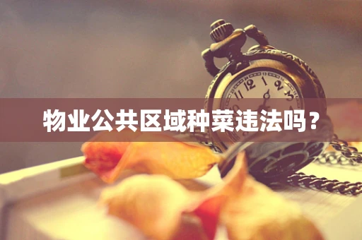 物业公共区域种菜违法吗？