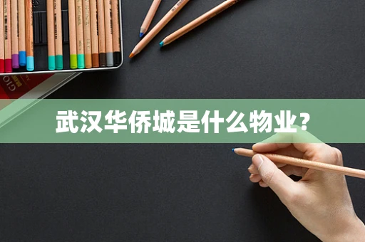武汉华侨城是什么物业？