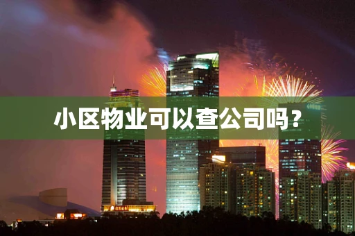 小区物业可以查公司吗？