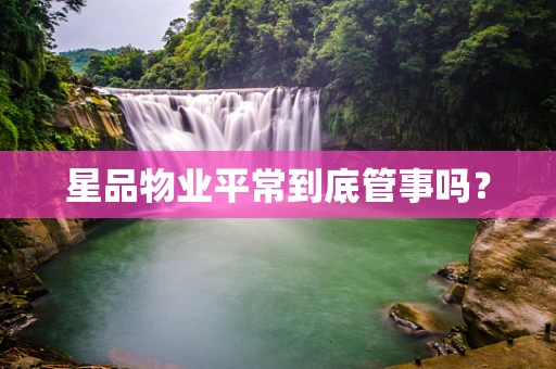 星品物业平常到底管事吗？