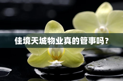 佳境天城物业真的管事吗？