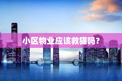小区物业应该救猫吗？
