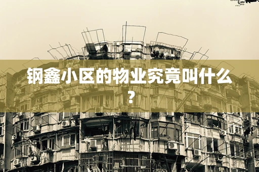 钢鑫小区的物业究竟叫什么？