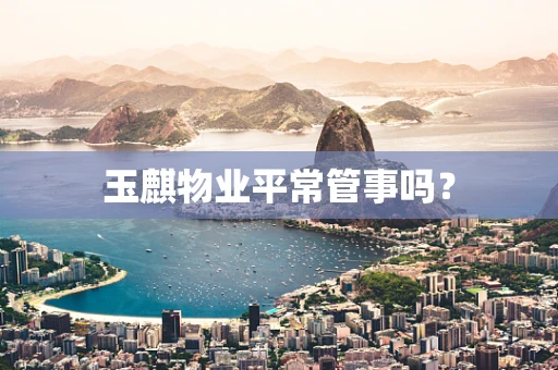玉麒物业平常管事吗？