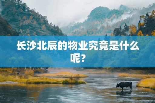 长沙北辰的物业究竟是什么呢？