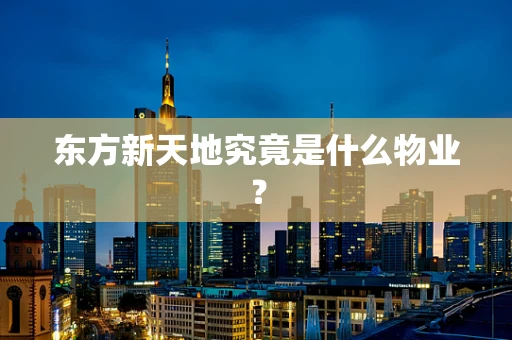 东方新天地究竟是什么物业？