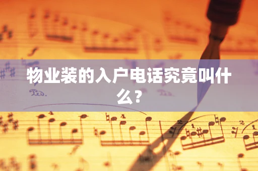 物业装的入户电话究竟叫什么？