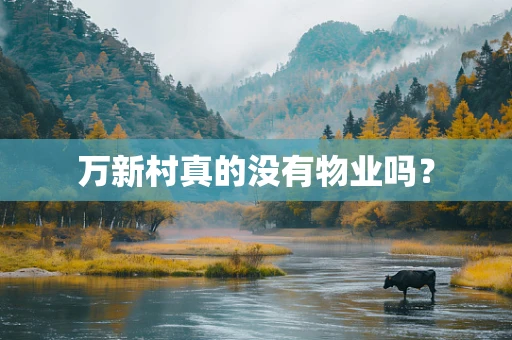 万新村真的没有物业吗？