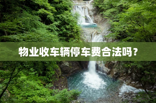 物业收车辆停车费合法吗？