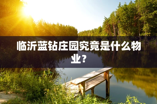 临沂蓝钻庄园究竟是什么物业？