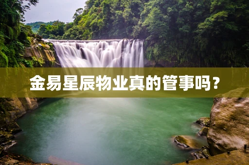 金易星辰物业真的管事吗？