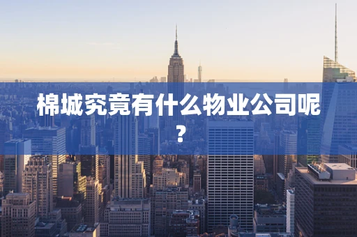 棉城究竟有什么物业公司呢？