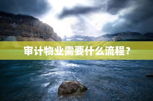 审计物业需要什么流程？