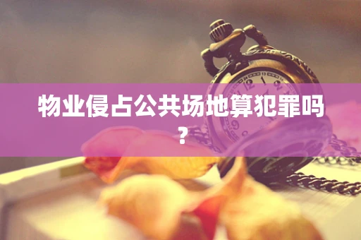 物业侵占公共场地算犯罪吗？