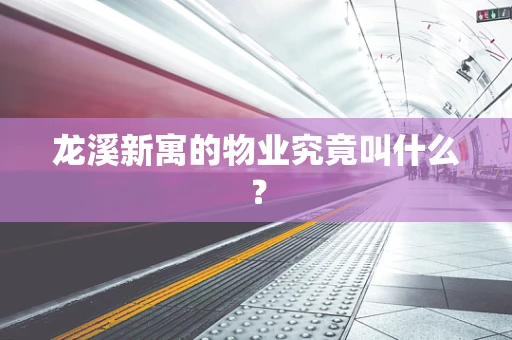 龙溪新寓的物业究竟叫什么？