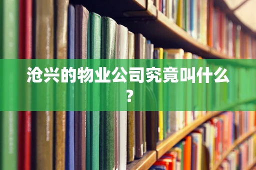 沧兴的物业公司究竟叫什么？