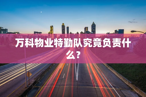 万科物业特勤队究竟负责什么？