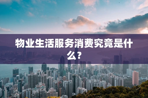 物业生活服务消费究竟是什么？