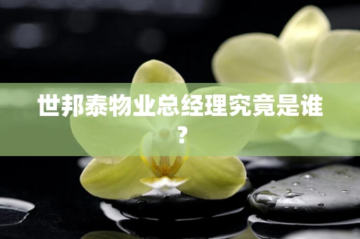 世邦泰物业总经理究竟是谁？