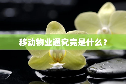 移动物业通究竟是什么？