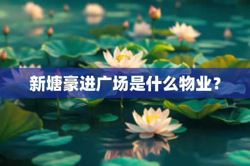 新塘豪进广场是什么物业？