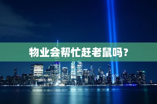 物业会帮忙赶老鼠吗？