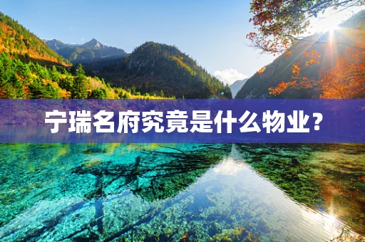 宁瑞名府究竟是什么物业？