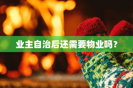 业主自治后还需要物业吗？