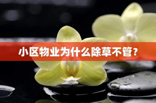 小区物业为什么除草不管？