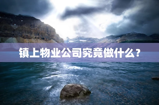 镇上物业公司究竟做什么？