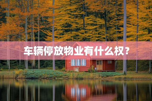车辆停放物业有什么权？