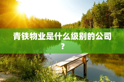 青铁物业是什么级别的公司？
