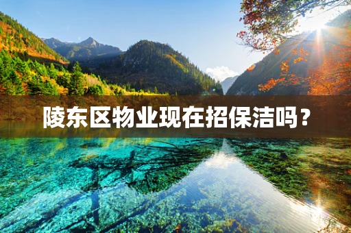 陵东区物业现在招保洁吗？