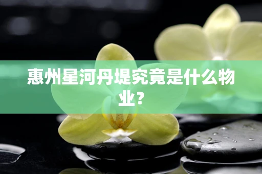 惠州星河丹堤究竟是什么物业？
