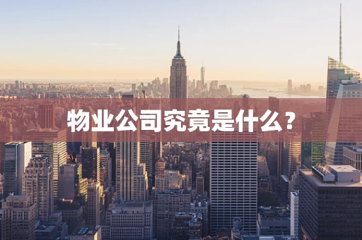 物业公司究竟是什么？