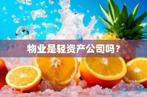 物业是轻资产公司吗？