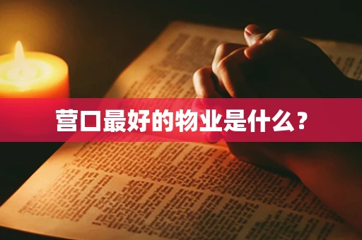 营口最好的物业是什么？