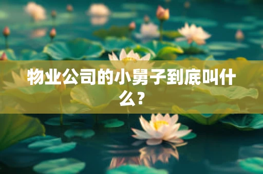 物业公司的小舅子到底叫什么？