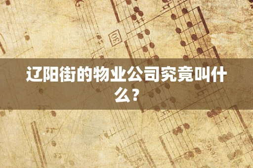 辽阳街的物业公司究竟叫什么？