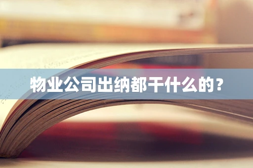 物业公司出纳都干什么的？