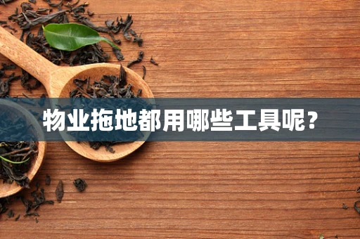 物业拖地都用哪些工具呢？