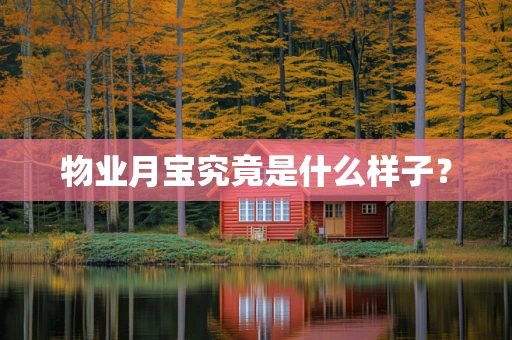 物业月宝究竟是什么样子？