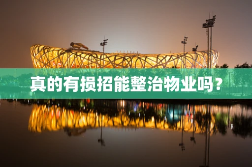真的有损招能整治物业吗？