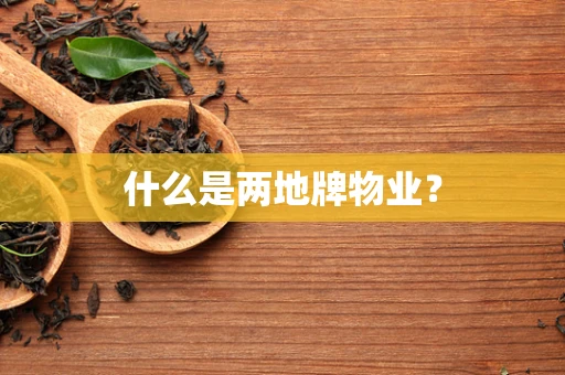 什么是两地牌物业？