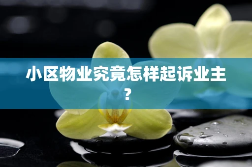 小区物业究竟怎样起诉业主？