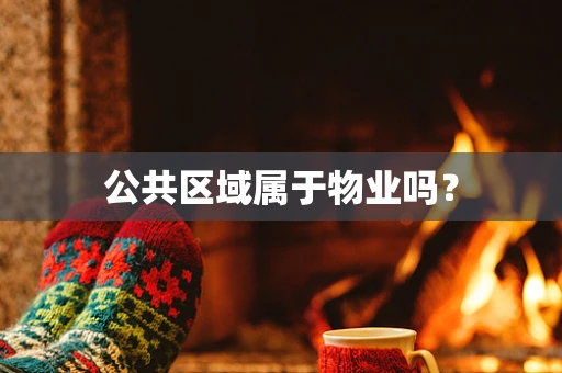 公共区域属于物业吗？