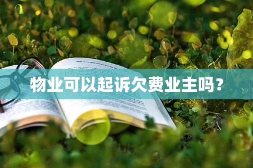 物业可以起诉欠费业主吗？