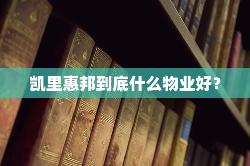 凯里惠邦到底什么物业好？