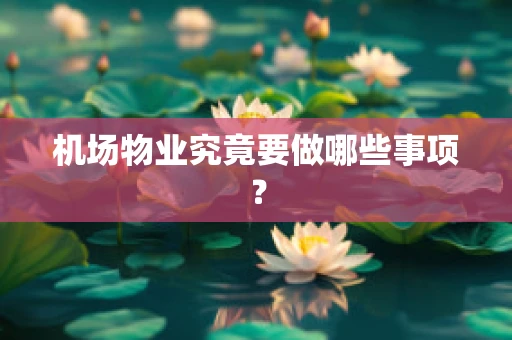 机场物业究竟要做哪些事项？